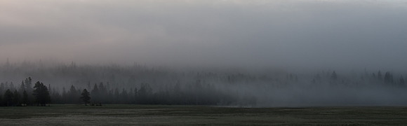 Early Morning